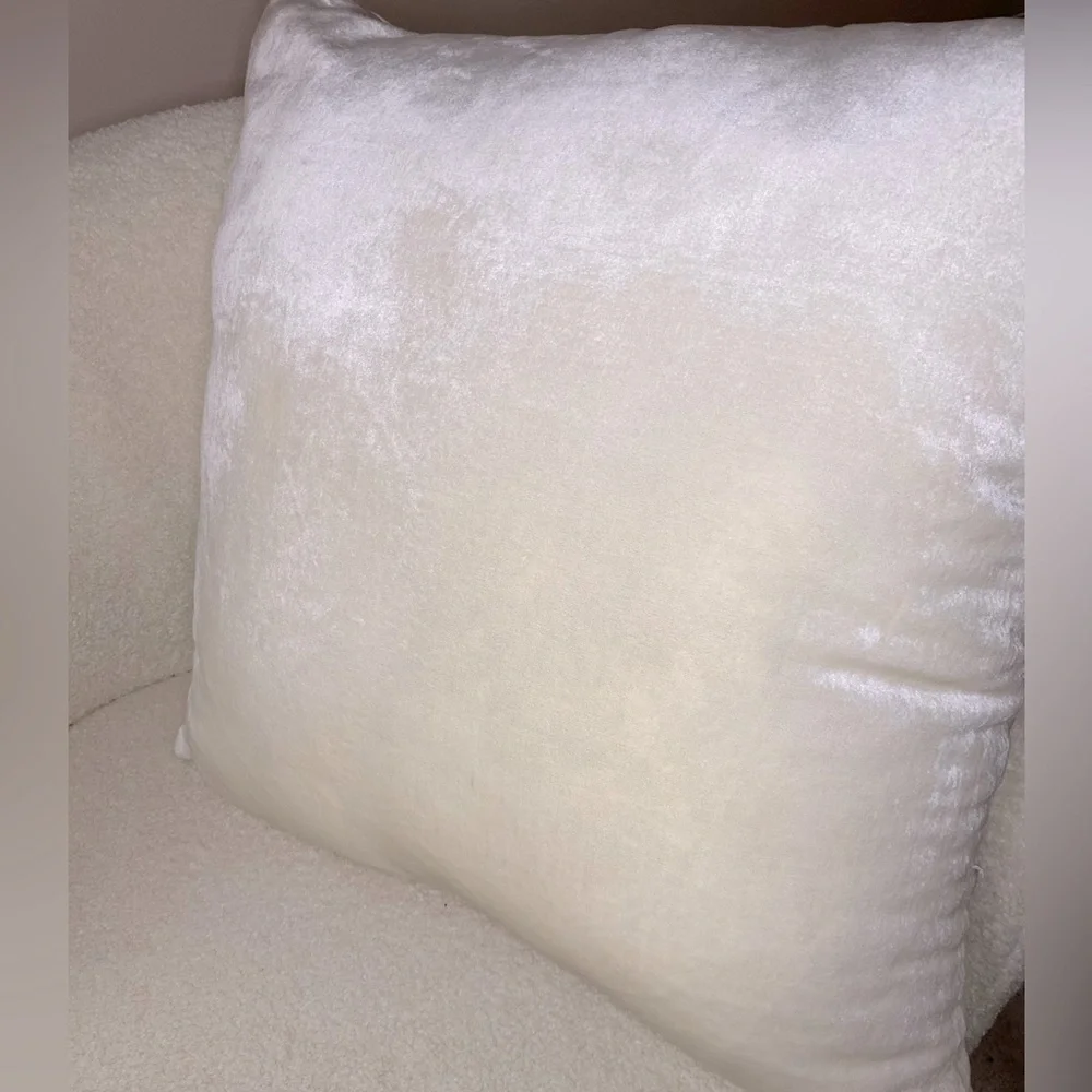 Z Gallerie Velvet Skull Pillow 💀